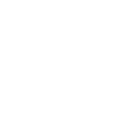 Supra sko