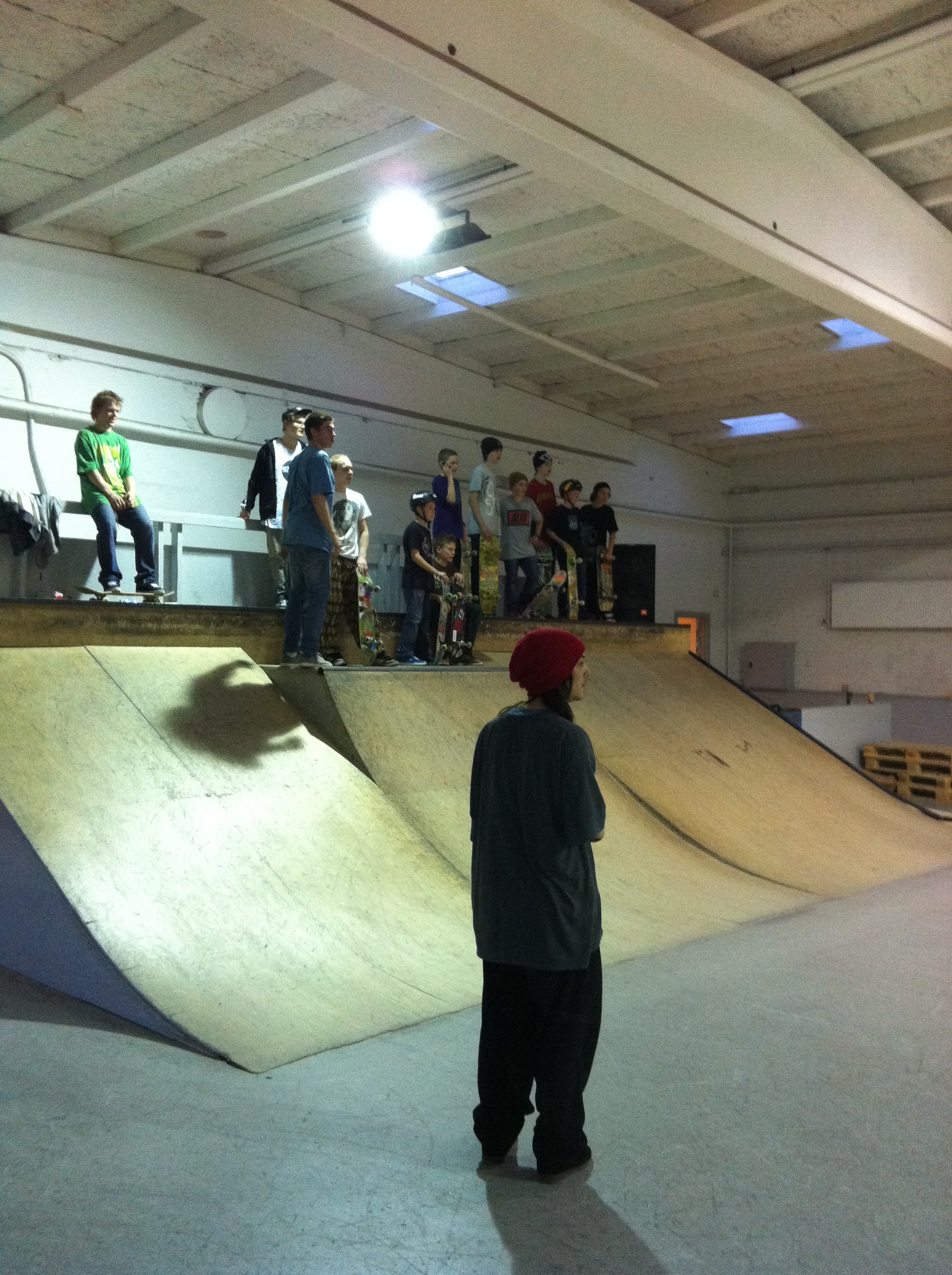 labforum.dk skateboard danmark tour odense skatehal