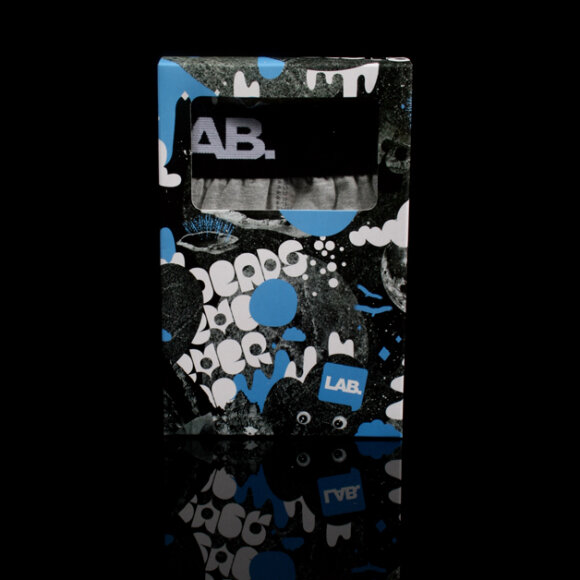 Lab - Briefs
