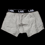 Lab - Briefs