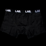 Lab - Briefs
