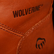 Wolverine - Journeyman