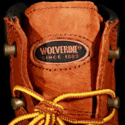 Wolverine - Journeyman