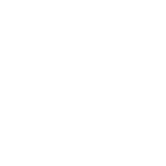 Pointer