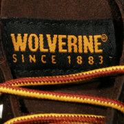 Wolverine - apprentice twig