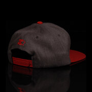 Emerica - Emerica Snapback Team Cap