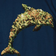 Odd Future - Odd Future Jasper Dolphin Weed