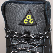 Nike SB - Nike SB Alder Air Sko