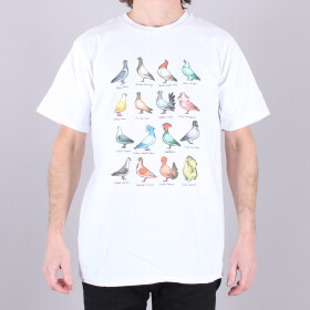 Antihero - Anti Hero Show Pigeons Tee Shirt