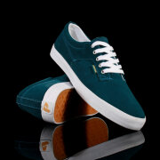 Pointer - A.F.D. (Mallard Blue)